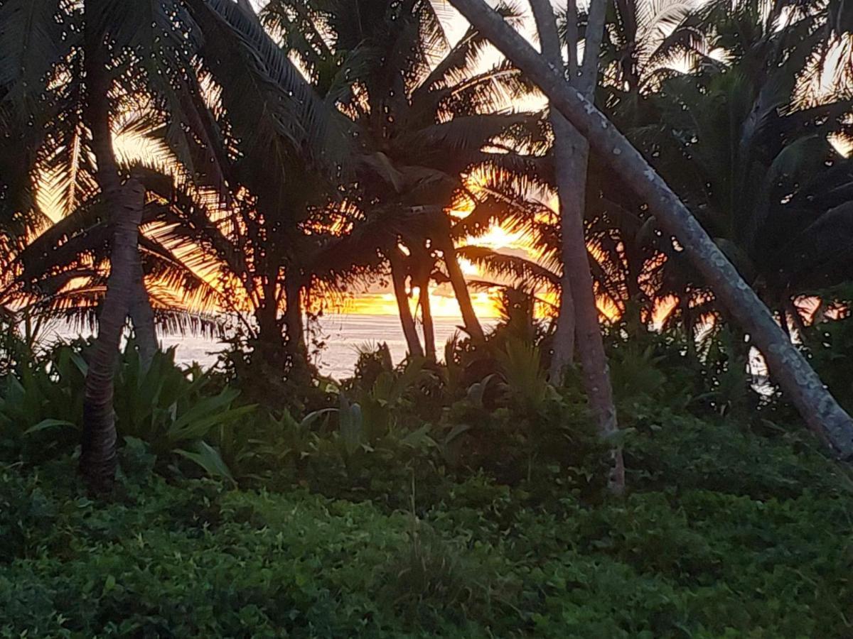 Barefoot Base Tupapa Apartment Rarotonga Exterior photo