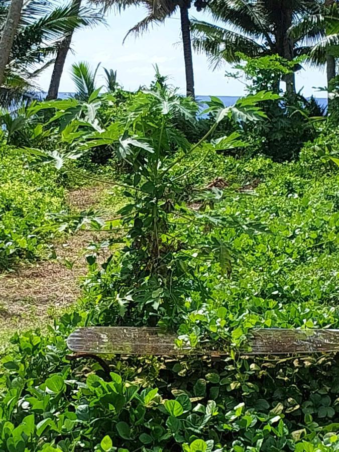 Barefoot Base Tupapa Apartment Rarotonga Exterior photo