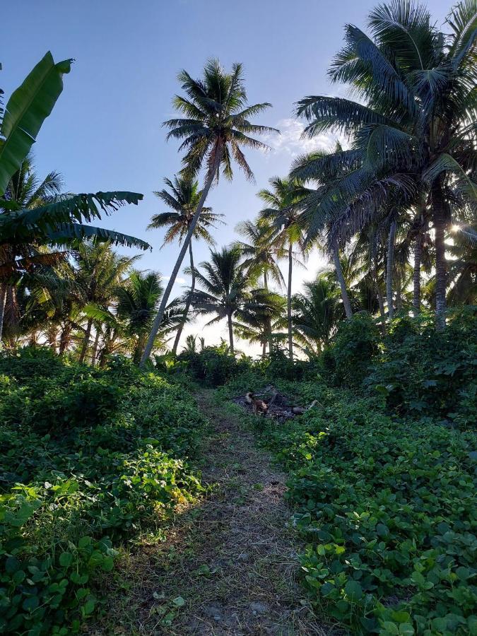 Barefoot Base Tupapa Apartment Rarotonga Exterior photo