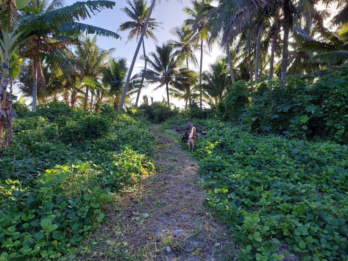 Barefoot Base Tupapa Apartment Rarotonga Exterior photo