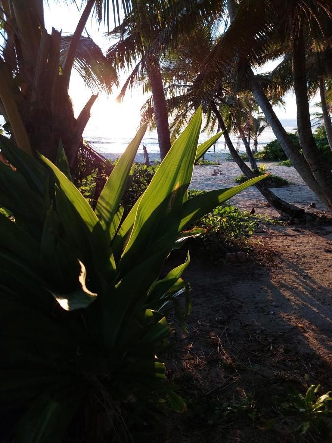 Barefoot Base Tupapa Apartment Rarotonga Exterior photo