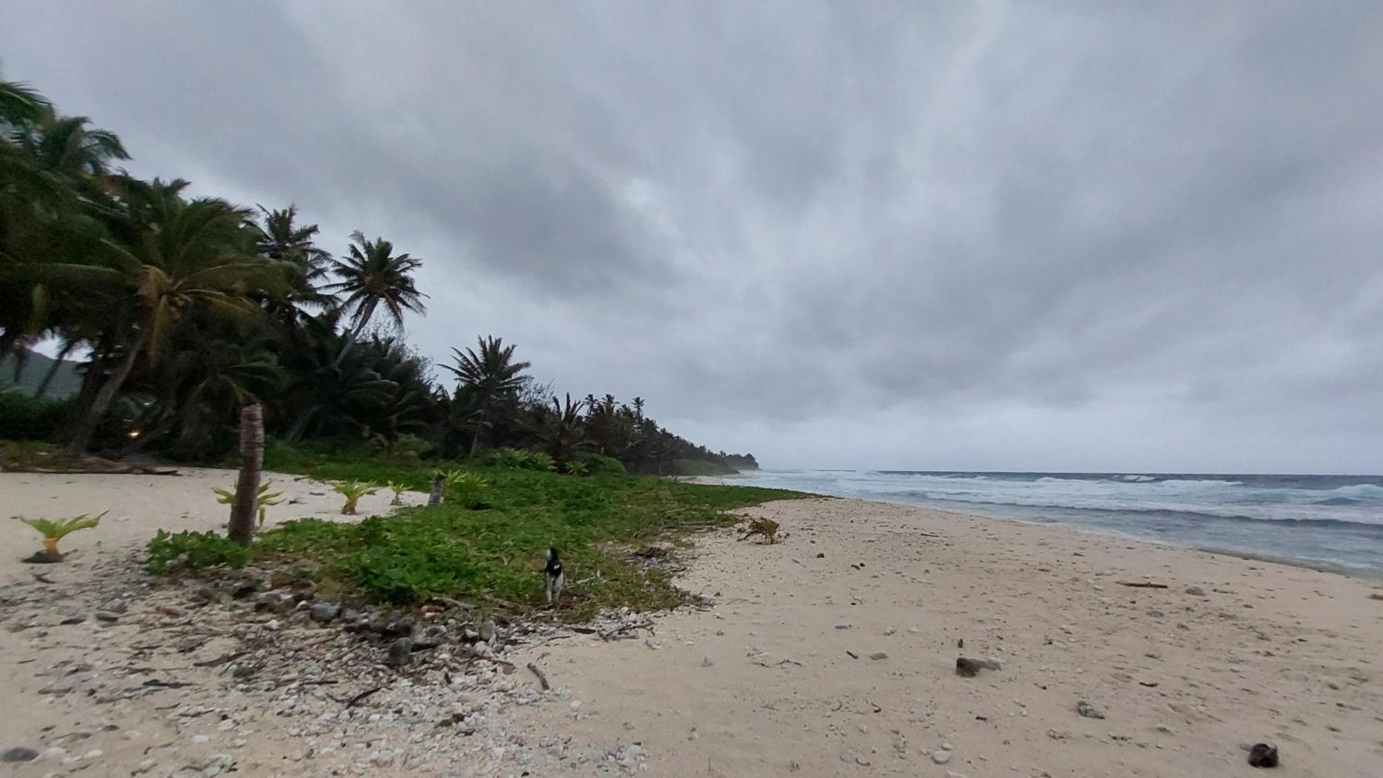 Barefoot Base Tupapa Apartment Rarotonga Exterior photo
