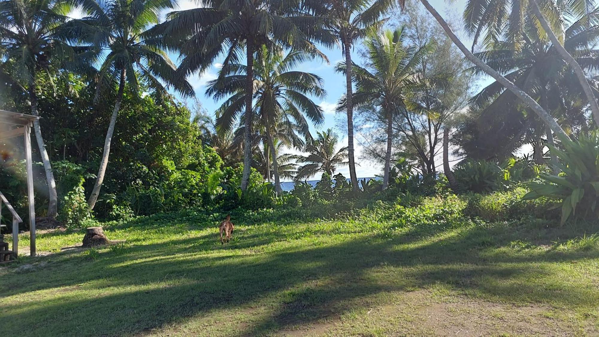 Barefoot Base Tupapa Apartment Rarotonga Room photo